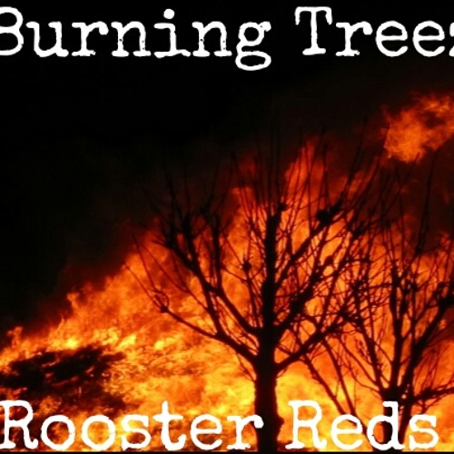BURNIN TREES