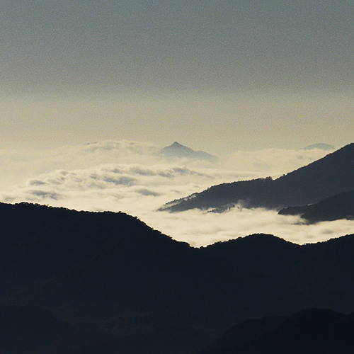 Uirapurú