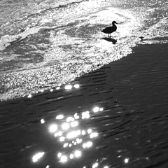 SunVox music. Best of February 2015