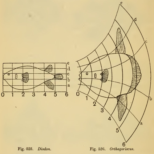 Meshed Expansions [disquiet0165-bertoiachair]