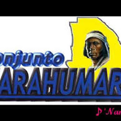 Conjunto Tarahumara- Gaviota Traidora