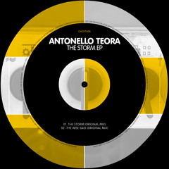 Antonello Teora - The Storm (Original Mix) [ONOFF008]