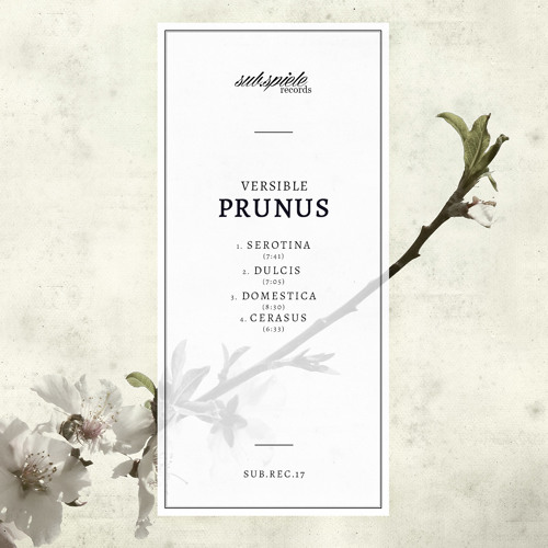 sub.rec.17 - Versible -  Prunus