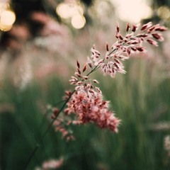 †ě∆ – YESTERD∆Y