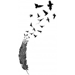 Birds of a Feather - HIPHOP - Acoustic Bedroom Recording