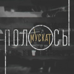 MUSCUT Project (МУСКАТ) - Время (feat. T1ONE)