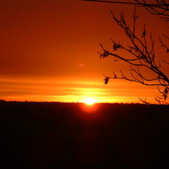 Sunday night lambiness 20150426