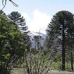 Seguir - Aquiles Mc, Pulsoulnativa, Jota P (PROD.PUNTO RECORD STUDIO)