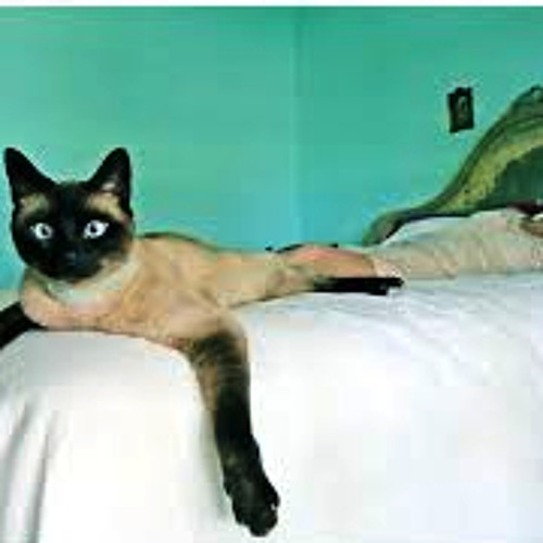 Easy (Lionel Richie) Relaxed Version