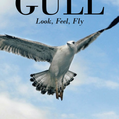 Raed Anis Al-Jishi, -AuthorVoicesOnAirSingapore مقابلة مع الشاعر رائد الجشي (انجليزي) على