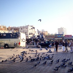 الأخوة أبو شعر - سيدنا النبي حنين