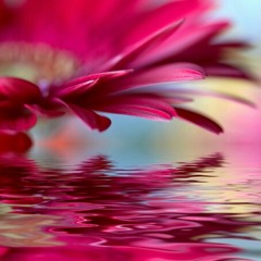 Music Sample: Composer Anam-Exploring Air Ignite