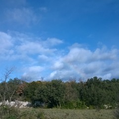 Afrique À Frique U rastaman