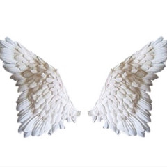 Not About Angels (Cover)