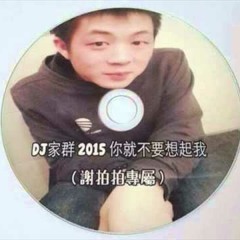 DJ家群 2015 你就不要想起我 (謝拍拍專屬) 客製CD