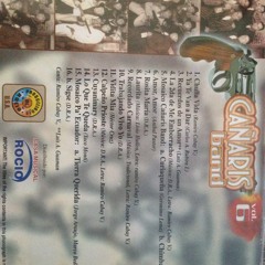 LOS CANARIS BAND V6 RECORDADO CARNAVAL