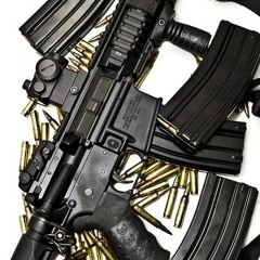 x Young Grizzly-Avganistan(35$)