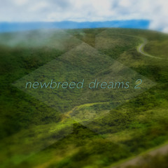 newbreed dreams 2