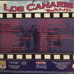 LOS CANARIS BAND V7 PENSANDO EN TI