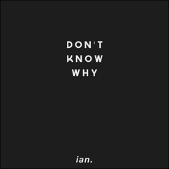 Don't Know Why - Norah Jones (acapella snippet cover) by bianca mae