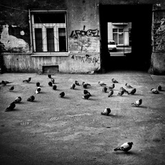 день за днем