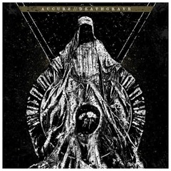 01 AUGURS-From Maggots to Flies