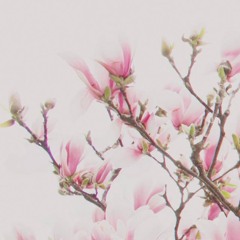 Can't help falling in love