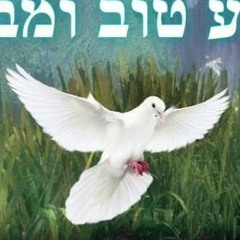 בדרך אליך at סגיב כהן