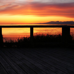 Num Terraço à Beira-Mar