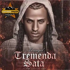 Arcangel -Duro Me Le Pego (DjNellFlow) (Los Evo Jedis)