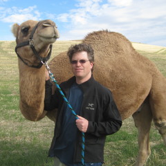 Interview with a Camel