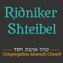 Taanis Esther & Drinking On Purim  – Rabbi Daniel Stein