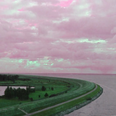 Liquid Metal Flower Petal
