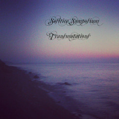 Transmutations Act II