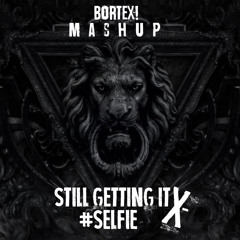 Still Getting It X #Selfie (Bortex! Mashup)