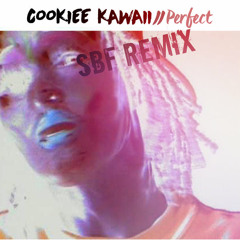 Perfect @imSBF Remix