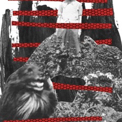 JAS011: Złota Jesień - Girl Soccer