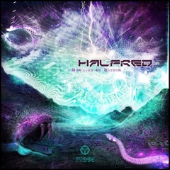 01 - Opening Portals - Out on Merkaba Music