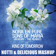 Nora En Pure & Sons Of Maria ft King Of Tomorrow - Finally Uruguay (EDX vs Notti & Delicious Mashup)