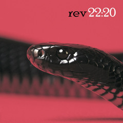 Rev 22 - 20 (puscifer cover)
