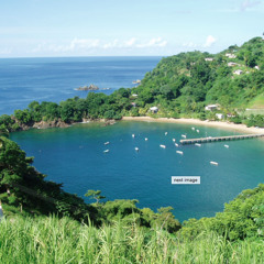 All things #Tropical