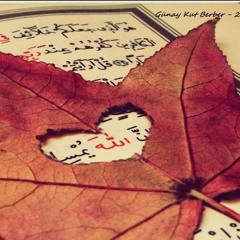 أتعبتنى ياقلب فى دنيا هواك