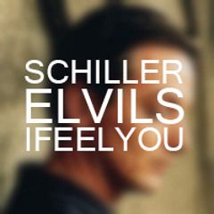 Schiller & Heppner - I Feel You (Elvils Remix)