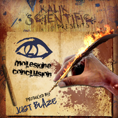 MOLESKINE CONCLUSION