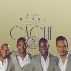PALABRA BUNITA - CACHE ROYALE