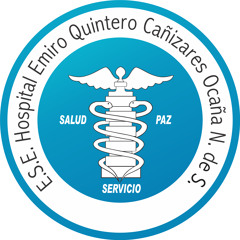 Dr Elmer Tamayo Jaimes - Gerente HEQC (Formalización Empleos)