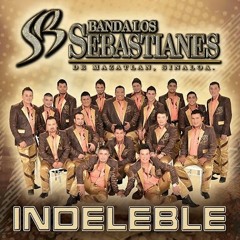 Ya No Me Importa - Banda Los Sebastianes ft Los Titanes De Durango a (2015)