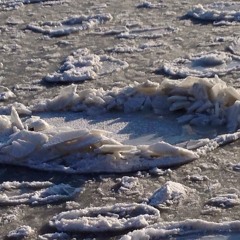 House Music Mix FNGR