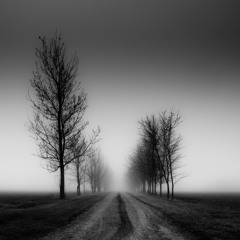 Dark House/Techno