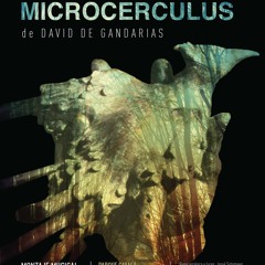 MICROCERCULUS MARGINATUS FRAGMENTO